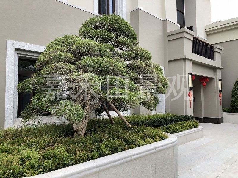 如何選擇專業(yè)的景觀設計師或施工隊伍？